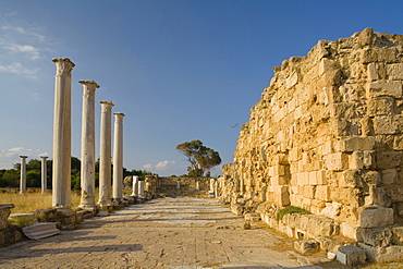 Antique Gymnasium, Palaestra, with columned courtyard, Archaeology, Salamis ruins, Salamis, North Cyprus, Cyprus