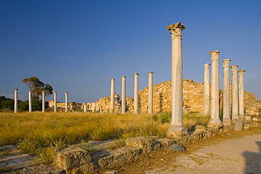 Antique Gymnasium, Palaestra, with columned courtyard, Archaeology, Salamis ruins, Salamis, North Cyprus, Cyprus