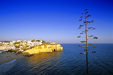 View at the coastal city Carvoeiro under blue sky, Algarve, Portugal, Europe