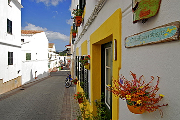 White painted houses and flower decorations in Ferreries, Minorca, Balearic Islands, Spain