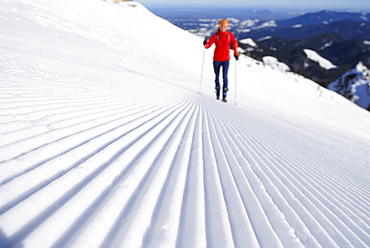 Female backcountry skier ascending, Hochfelln, Chiemgau range, Chiemgau, Upper Bavaria, Bavaria, Germany