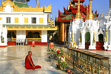 Praying buddhist monk at the Shwedagon Pagoda in the light of the evening sun, Rangoon, Myanmar, Burma, Asia