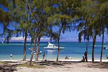 La Pointe aux Canonniers public beach, filoas trees, north east coast Mauritius, Africa