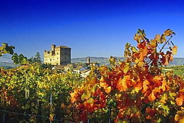 Vineyard and Castello Grinzane Cavour under blue sky, Piedmont, Italy, Europe