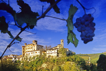 Castle on a hill in the sunlight, Barolo, Piedmont, Italy, Europe