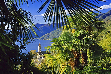 View over the church of Ronco sopra Ascona to the Lago Maggiore, Ticino, Switzerland, Europe