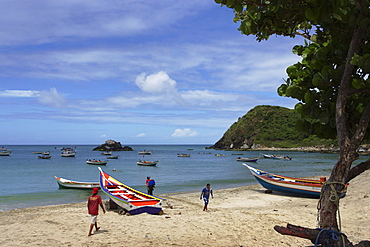 Fishermen sorting fishes, Playa Guayacan, Isla Margarita, Nueva Esparta, Venezuela