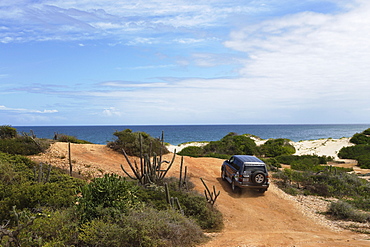 Off-road vehicle on dusty road, Macanao peninsula, Isla Margarita, Nueva Esparta, Venezuela