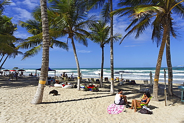 Palm trees at Playa El Aqua, Isla Margarita, Nueva Esparta, Venezuela