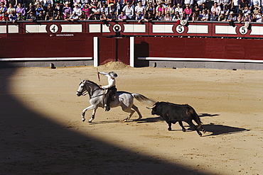 Bullfight (Corrida de Toros), Las Ventas bullring, Madrid, Spain