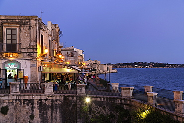 Fountain of Arethusa in the evening, Syracuse, Ortygia island, Sicily, Italy