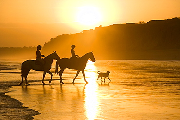 Two horsewomen with a dog at beach, Algarve, Portugal