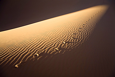 Footprints in the libyan desert, Libya, Sahara, Africa