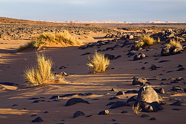 Light and shadow in the libyan desert, Libya, Sahara, North Africa