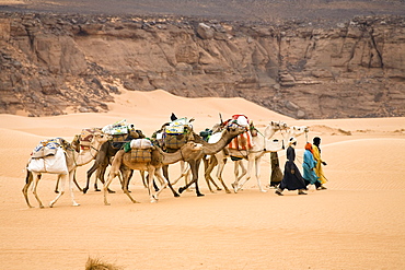 Camel Caravan in the libyan desert, Dromedaries, Camelus dromedarius, Akakus mountains, Libya, Sahara, North Africa