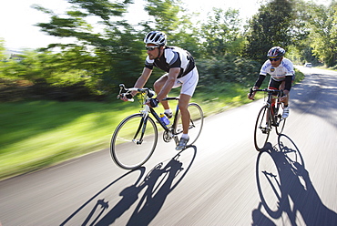 Two men on racing bikes on a country road, Marche, Italy, Europe