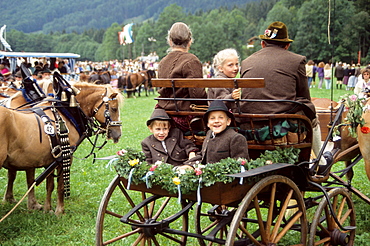 Traditional horse day near Rottach Egern, Upper Bavaria, Bavaria, Germany