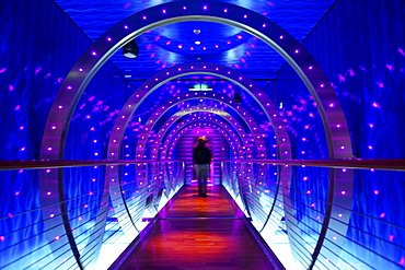 Person at illuminated gangway, AIDA Bella Cruiser