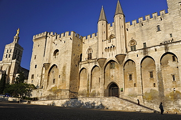 Papal Palace and the cathedral Notre-Dame-des-Doms, Palais des Papes, Avignon, Vaucluse, Provence, France, Europe