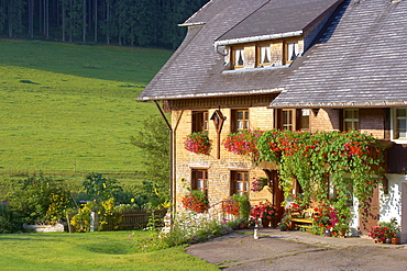 Farmhouse Griesbachhof in Jostal near the town of Titisee-Neustadt, Jostal, Southern part of the Black Forest, Baden-Wuerttemberg, Germany, Europe