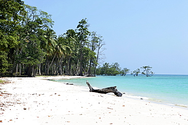 View over the beach at Lalaji Bay, Long Island, Middle Andaman, Andamans, India