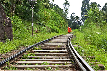 Buddhist monks walking along the track of Sri Lankas most beautiful railway line trough the highland, Ella, Highland, Sri Lanka, Asia