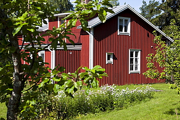 A swedish wooden house in the sunlight, Hoega Kusten, Vaesternorrland, Sweden, Europe