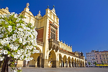 Cloth hall at main market Rynek Glowny in the sunlight, Krakow, Poland, Europe