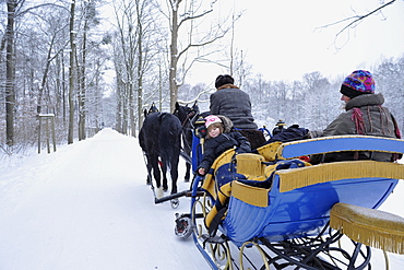 People in horse drawn sleigh in snow covered forest, Saxony, Germany, Europe