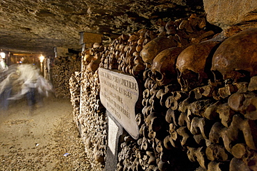 Skulls and bones in the catacombs of Paris, Les Catacombes de Paris, Paris, France, Europe