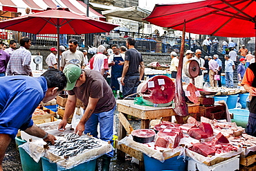 Fish market, Catania, Sicily, Italy