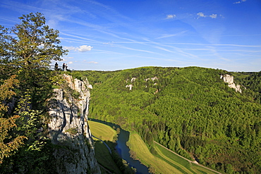 View to the Eichfelsen rocks above the Danube river, near Beuron monastery, Upper Danube nature park, Danube river, Baden-Wuerttemberg, Germany