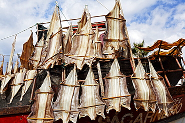 Cod drying, Camara de Lobos, Madeira, Portugal