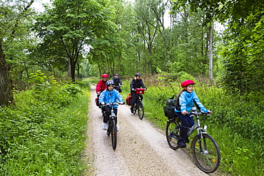 Cyclists passing Isar Cycle Route, nwar Ismaning, Upper Bavaria, Germany