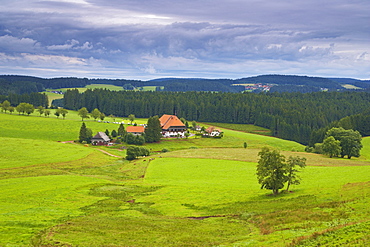 Fallerhof from the TV-Series Die Fallers, Unterfallengrundhof (farmhouse) close to Guetenbach, Near Furtwangen, Black Forest, Baden-Wuerttemberg, Germany, Europe