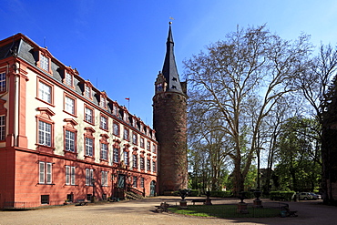 Castle, Erbach, Odenwald, Hesse, Germany