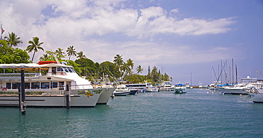 Yachts at Lahaina Harbour, Maui, Hawaii, USA, America