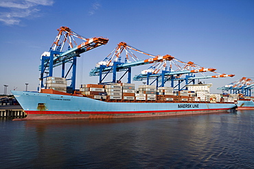 Container Ship Columbine Maersk, Bremerhaven, Bremen, Germany, Europe