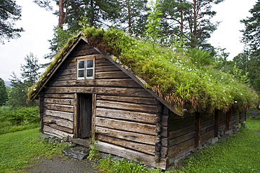 Grass Roof on Traditional House at Sunnmore Open-Air Museum, Alesund, More og Romsdal, Norway, Europe