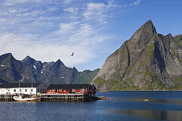 Fishing Boat and Fishery, near Hamnoy, Moskenesoy, Lofoten, Nordland, Norway, Europe