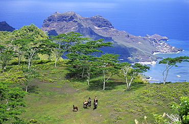 Horese riders near Muake Saddle on the island of Nuku Hiva, French Polynesia