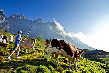 Alpine trail in the region of Hochkoenig, Salzburger Land, Austria