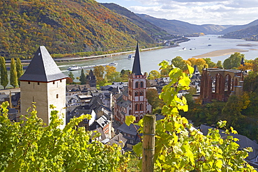 View at Bacharach with Vineyard and Werner chapel, River Rhine, Cultural Heritage of the World: Oberes Mittelrheintal (since 2002), Mittelrhein, Rhineland-Palatinate, Germany, Europe