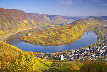 Horse-shoe bend of the river Mosel with Bremm, Wine district, Rhineland-Palatinate, Germany, Europe