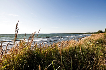 Coast near Sassnitz, Island of Ruegen, Mecklenburg-Vorpommern, Germany