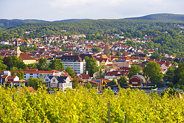 View over vineyards at Bad Duerkheim a.d. Weinstrasse, Schlosskirche, Church, Riesenfass (1, 7 mio.Liter), Gigantic barrel, Deutsche Weinstrasse, Palatinate, Rhineland-Palatinate, Germany, Europe