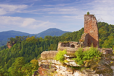 Castles of Altdahn, Grafendahn, Tanstein near Dahn, Palatinate Forest, Rhineland-Palatinate, Germany, Europe