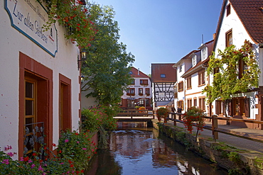 Old city of Annweiler on the rivulet Queich, Pfaelzerwald, Rhineland-Palatinate, Germany, Europe