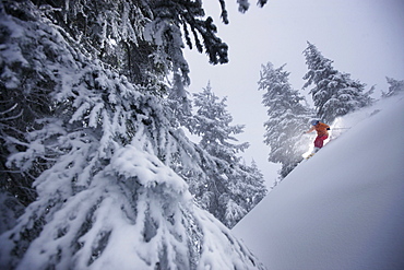 Downhill skiing in deep snow, Grouse Mountain, British Columbia, Canada