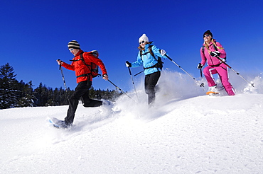 People snowshoeing, Hemmersuppenalm, Reit im Winkl, Chiemgau, Upper Bavaria, Bavaria, Germany, Europe